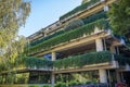 Building covered in green vines