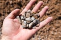 Building crushed stone with sand in hand Royalty Free Stock Photo