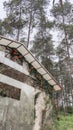 A building decorated with vines with a pine forest in the background in a nature tourism park. Royalty Free Stock Photo