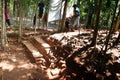 BUILDING excavation TEMPLE