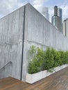 concrete wall wooden floor and green plants Royalty Free Stock Photo