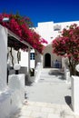 Building of hotel in traditional Greek style and Bougainvillea flowers Royalty Free Stock Photo