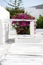 Building of hotel in traditional Greek style and Bougainvillea flowers Royalty Free Stock Photo