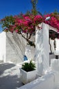 Building of hotel in traditional Greek style and Bougainvillea flowers Royalty Free Stock Photo