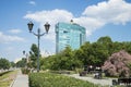 The building with the inscription Rosneft located on the Volga river in Samara, Russia. On a Sunny summer day.