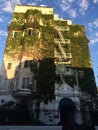 Building Ivy