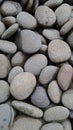 building material coral stone structureÃ¯Â¿Â¼