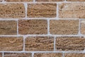 Building material texture. Bricks formed by seashells. Background, texture Royalty Free Stock Photo