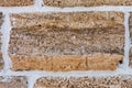 Building material texture. Bricks formed by seashells. Background, texture Royalty Free Stock Photo