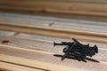 Building materials and accessories. Black screws on a wooden board. Royalty Free Stock Photo