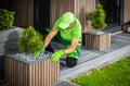 Building Modern Elegant Backyard Garden Decorated with Pine Trees