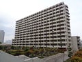 Building at neighborhood of Odaiba marine park, Tokyo 2016