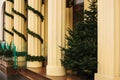 Christmas fir. The building is in New Year`s decoration. Christmas fir and decorative green garlands on columns Royalty Free Stock Photo