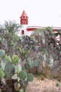 Castle and Nopales of the mine of mineral de pozos guanajuato, mexico Royalty Free Stock Photo