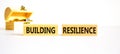 Building resilience symbol. Concept word Building resilience typed on wooden blocks. Beautiful white table white background. Royalty Free Stock Photo