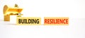 Building resilience symbol. Concept word Building resilience typed on wooden blocks. Beautiful white table white background. Royalty Free Stock Photo