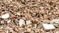 Building rubble Royalty Free Stock Photo