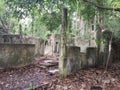 Building ruins in tropical rainforest