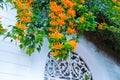 Building with traditional window decorated with fresh orange flowers. Spain, Nerja Royalty Free Stock Photo