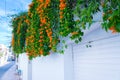 Building with traditional window decorated with fresh red flowers. Spain, Nerja Royalty Free Stock Photo