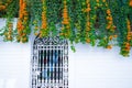 Building with traditional window decorated with fresh orange flowers. Spain, Nerja Royalty Free Stock Photo