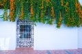 Building with traditional window decorated with fresh orange flowers. Spain, Nerja Royalty Free Stock Photo