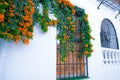 Building with traditional window decorated with fresh orange flowers. Spain, Nerja Royalty Free Stock Photo