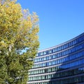 Building tree sunlight autumn blue sky