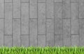 Building wall and green grass background