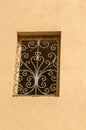 building window1300`s century, iron shield, for protection and security