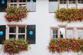 Building with windows decorated with flowers at daytime