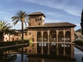 Buildings of the Alhambra Palaces in the El Partal part, reflection in the water pool, palm trees Royalty Free Stock Photo