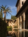 Buildings of the Alhambra Palaces in the El Partal part, reflection in the water pool, palm trees Royalty Free Stock Photo