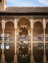 Buildings of the Alhambra Palaces in the El Partal part, reflection in the water pool, palm trees Royalty Free Stock Photo