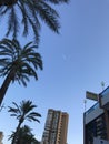 Buildings , beach, summer, yachts in port of Alicante