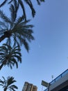 Buildings , beach, summer, yachts in port of Alicante