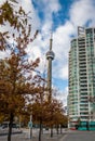 Buildings in Downtown Toronto with CN Tower and Autumn vegetation - Toronto, Ontario, Canada Royalty Free Stock Photo