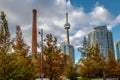 Buildings in Downtown Toronto with CN Tower and Autumn vegetation - Toronto, Ontario, Canada Royalty Free Stock Photo