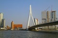 Buildings and Erasmus Bridge - Rotterdam - Netherlands Royalty Free Stock Photo