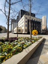 Buildings and flower bed  in downtown of city Fort Worth Royalty Free Stock Photo