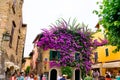 Buildings with flowers Lake Garda Italy.