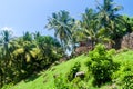 Buildings of former penal colony at Ile Royale