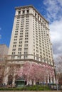 Buildings and Magnolia trees in flower near City Hall lower Manhattan