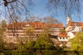 The buildings of the old town of TÃ¼bingen through the spring trees in early April