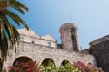 Buildings, palm tree and flowers in Korcula. Croatia Royalty Free Stock Photo