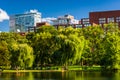 Buildings and a pond in the Public Garden in Boston, Massachusetts. Royalty Free Stock Photo