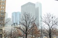 Buildings and Skyscrapers in Lower Manhattan, New York City, USA. Bare Trees in the Park on a Foggy Day Royalty Free Stock Photo