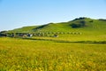 The buildings on the summertid grassland Royalty Free Stock Photo