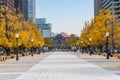 Buildings in Tokyo with autumn leaves Royalty Free Stock Photo