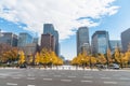 Buildings in Tokyo with autumn leaves Royalty Free Stock Photo